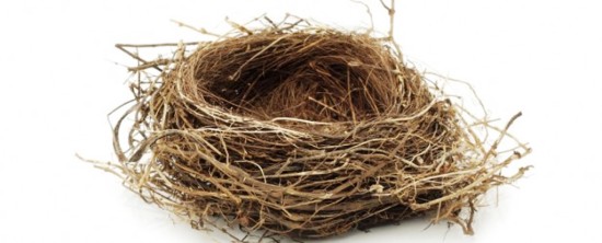 Empty-nest-